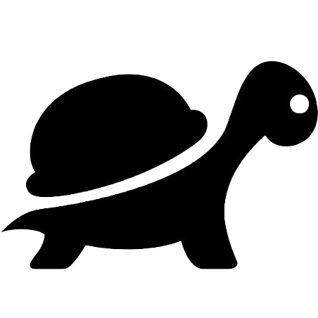 Turtle Drums